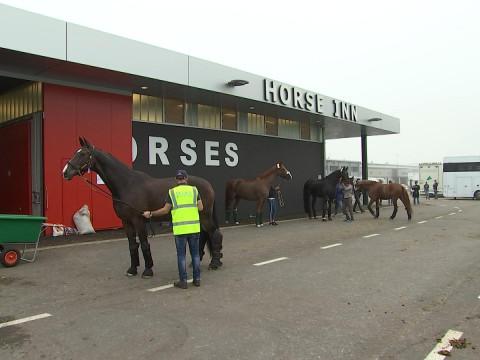 500 chevaux de haut niveau en transit à Liège Airport 