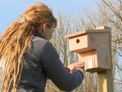 80 nichoirs installés dans le Parc Naturel Burdinale-Mehaigne