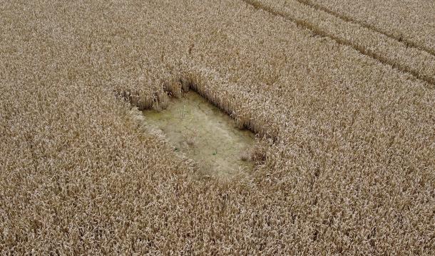 Le Parc Naturel Burdinale-Mehaigne s'adapte au changement climatique