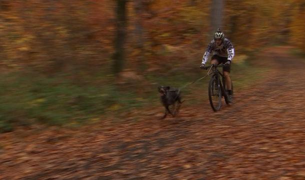 Bike-Joering : un Liégeois vice-champion du monde 