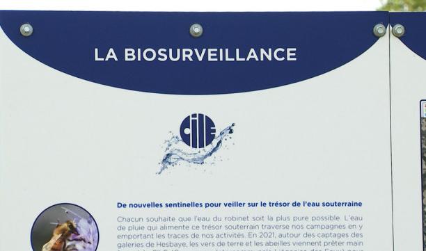 Biosurveillance pour les captages de la CILE