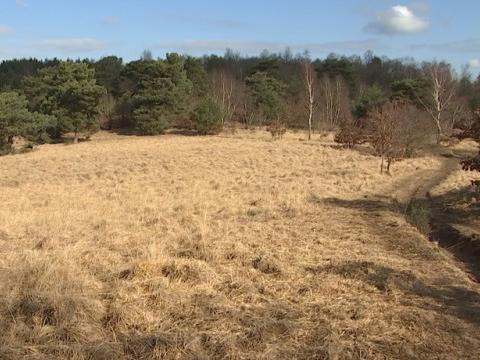 Bois-les-dames, bientôt une réserve naturelle
