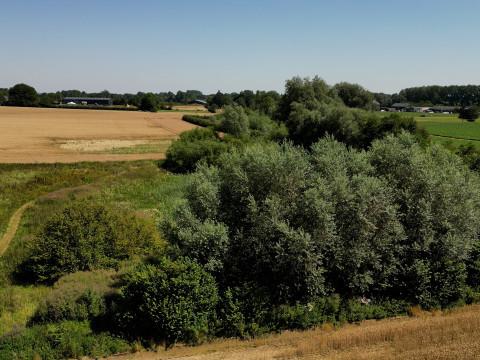 Burdinne: Une réserve naturelle en zone humide à Hannêche