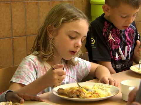 Cantines scolaires gratuites en Fédération Wallonie-Bruxelles