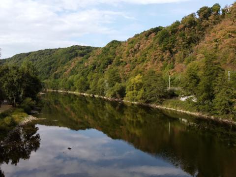 Changement climatique: Le DNF crée nos forêts de demain