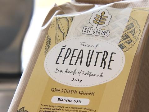 Coopérer pour combler le manque de farine