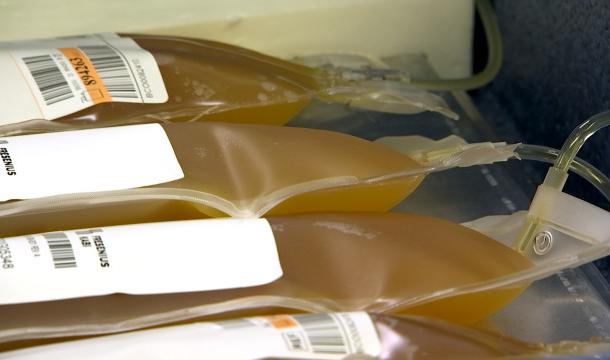 Croix-Rouge : à la recherche de donneurs de plasma