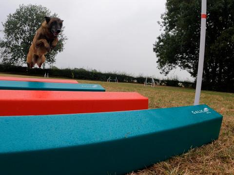 Dalhem : des chiens et des jeux sur un nouvel espace