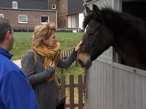 Des aides pour les refuges animaliers suite à la crise sanitaire