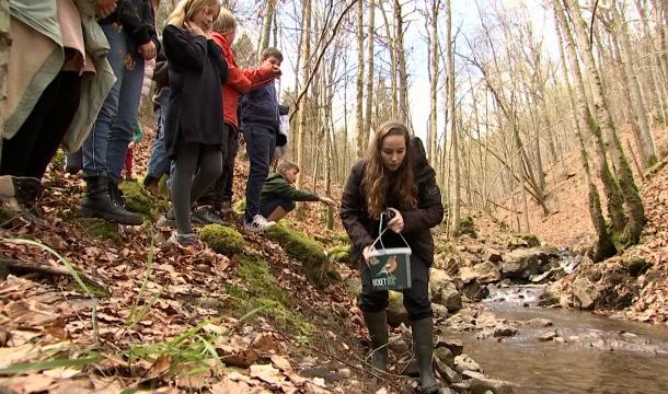 Des centaines de saumons relâchés dans nos rivières