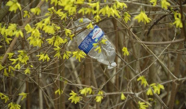 Des réponses face aux dépôts sauvages à Saint-Nicolas 