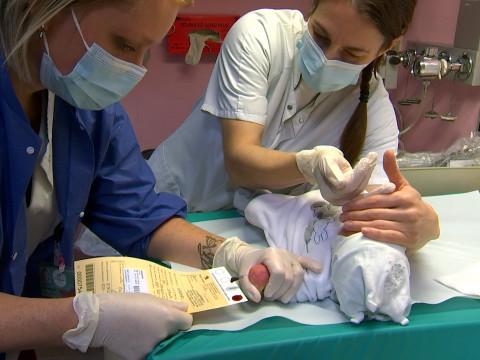 Détecter de nouvelles maladies dès la naissance, avec une simple prise de sang 
