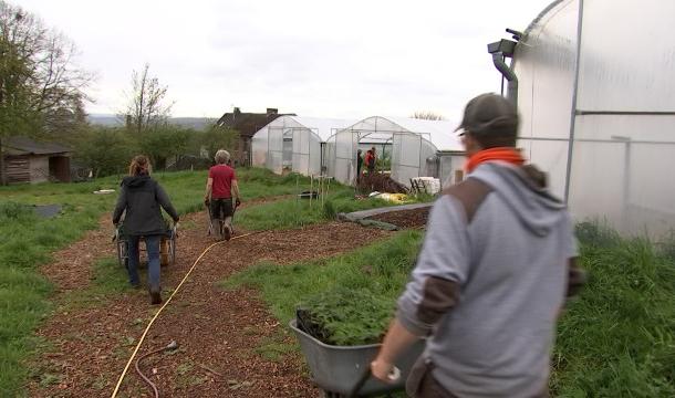Esneux: la ferme de Beauregard fait un nouvel appel à épargne