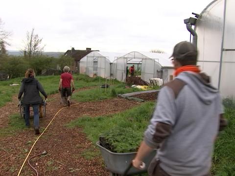 Esneux: la ferme de Beauregard fait un nouvel appel à épargne