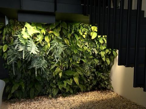 Faire entrer la nature dans les bâtiments 