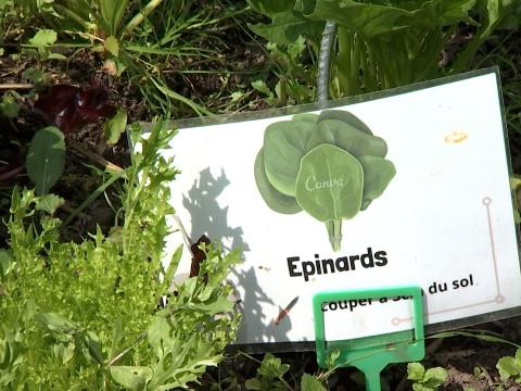 Fermes ouvertes à Braives tous les week-ends de juin