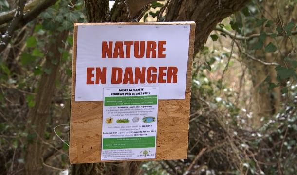 Flémalle: Crowdfunding pour sauver le Bois d'à côté