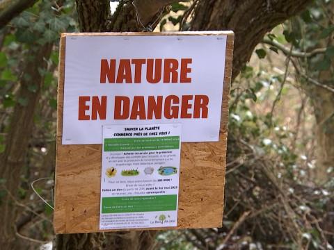 Flémalle: Crowdfunding pour sauver le Bois d'à côté
