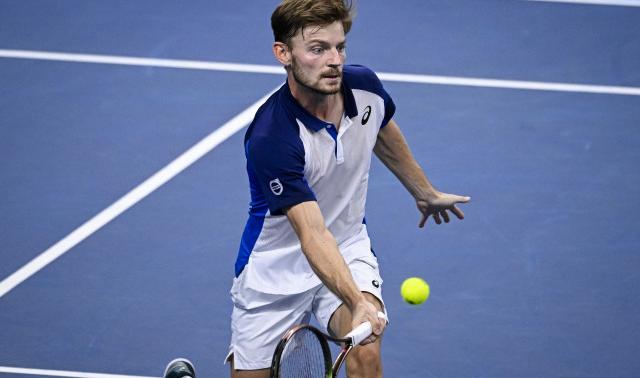 Goffin débute sa préparation par un succès