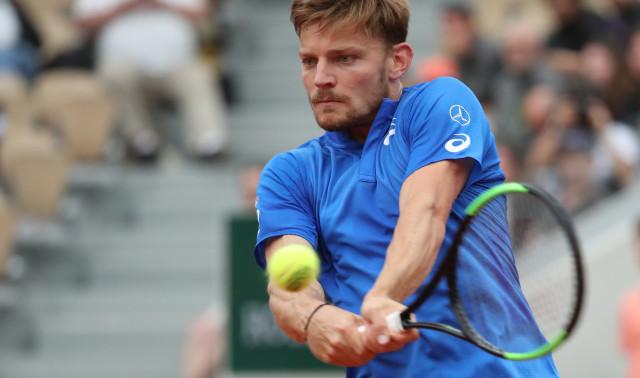 Halle : David Goffin battu en finale par Roger Federer