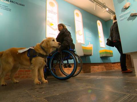 Handicap : l'offre touristique s'adapte en Wallonie