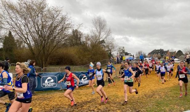 Hannut : Du cross rien que du cross ! 