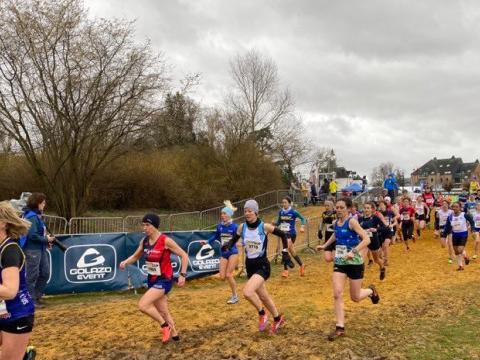 Hannut : Du cross rien que du cross ! 