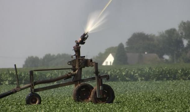 Hesbaye Frost: Irrigation indispensable pour les cultures de légumes