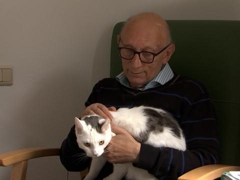 Home de Seny: un chat pour réconforter les résidents