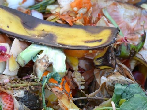 Huy : bilan positif de la collecte des déchets organiques