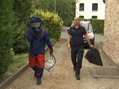 Huy : les pompiers neutralisent les nids de guêpes