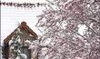 Pâques sous la neige