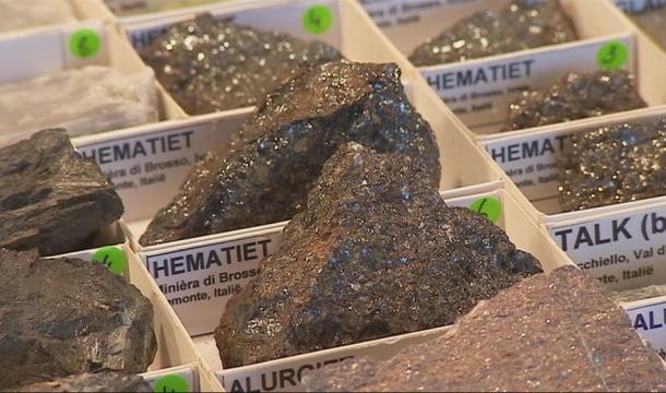 Interminéral : pierres et fossiles au Palais des Congrès de Liège 