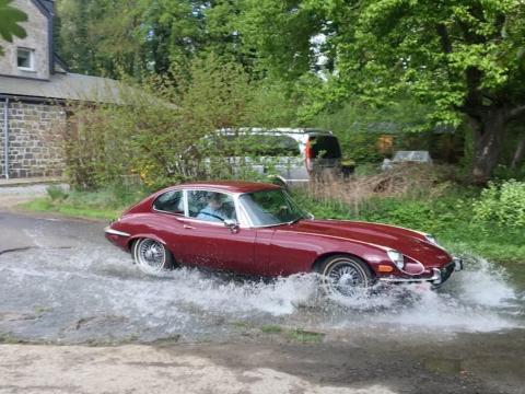 Des Jaguars dans le Condroz !