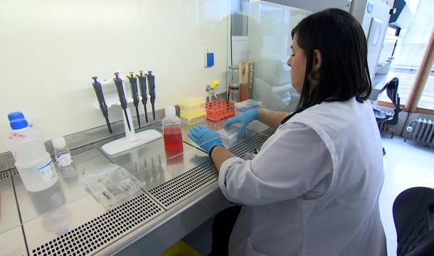 Journée mondiale de la lutte contre l'arthrose : une invention liégeoise !