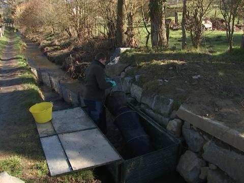 Journées de l'eau : la truite fario en nage libre dans le Bloquay