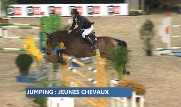 Jumping de Liège : la compétition des jeunes chevaux 