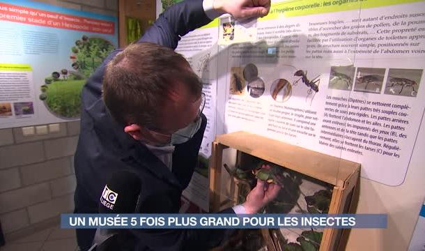 L'insectarium Hexapoda s'agrandit