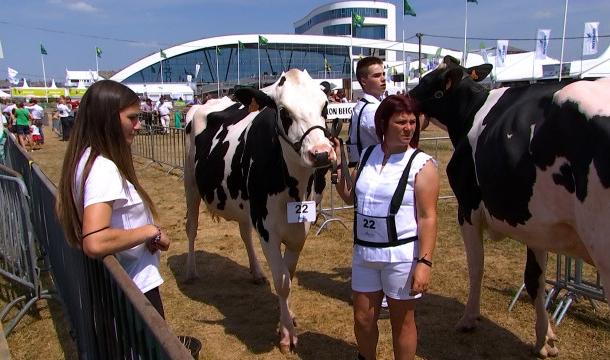 La relève de l'agriculture liégeoise à la foire de Libramont