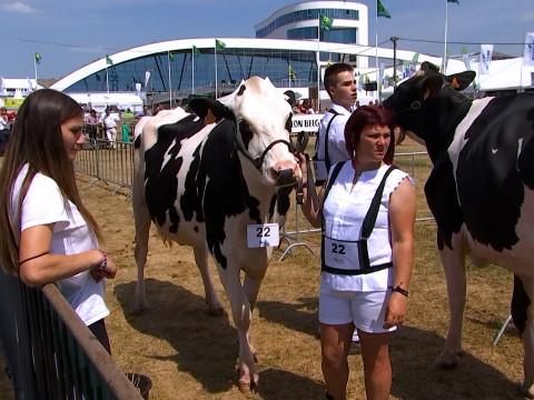 La relève de l'agriculture liégeoise à la foire de Libramont