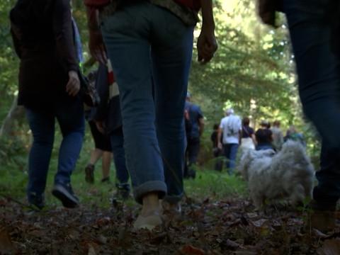 La semaine des sentiers : redécouverte de l'arboretum de Seraing 