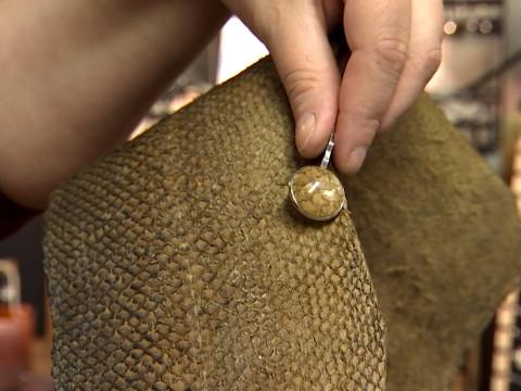 La seule tanneuse de poisson de Belgique est liégeoise