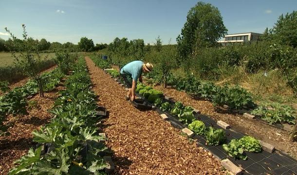 Lanaye: le potager d'un particulier prend de l'ampleur 