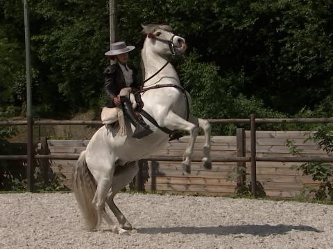 Lar'Allegria à la Feria española de Herstal ce week-end