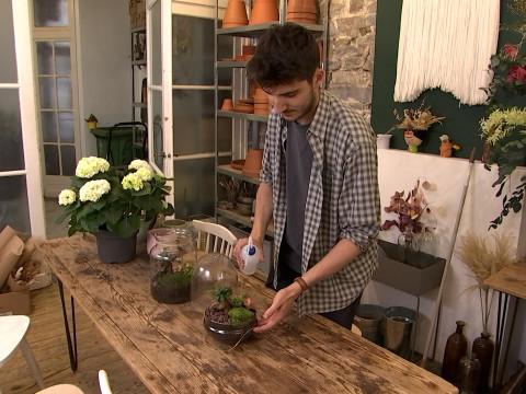 Le commerce de destination: locomotive économique de nos villes