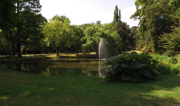 Le Jardin Botanique : 400 arbres remarquables au coeur de Liège 