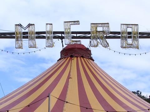 Le Micro Festival, ça sera sans masques et sans distanciation