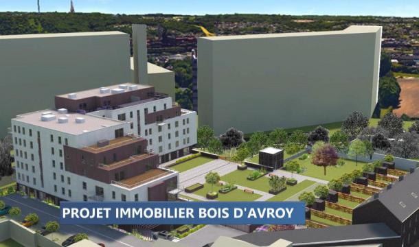 Le ministre Di Antonio casse le permis pour le projet Bois D'avoy