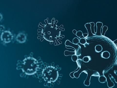 Le nombre de contaminations double en Province de Liège