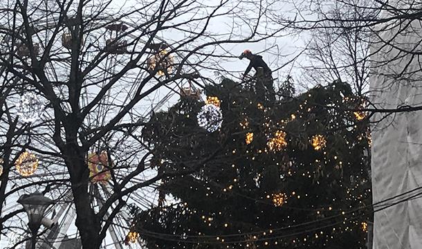 Le sapin de Noël du Marché de Noël en cours d'élagage
